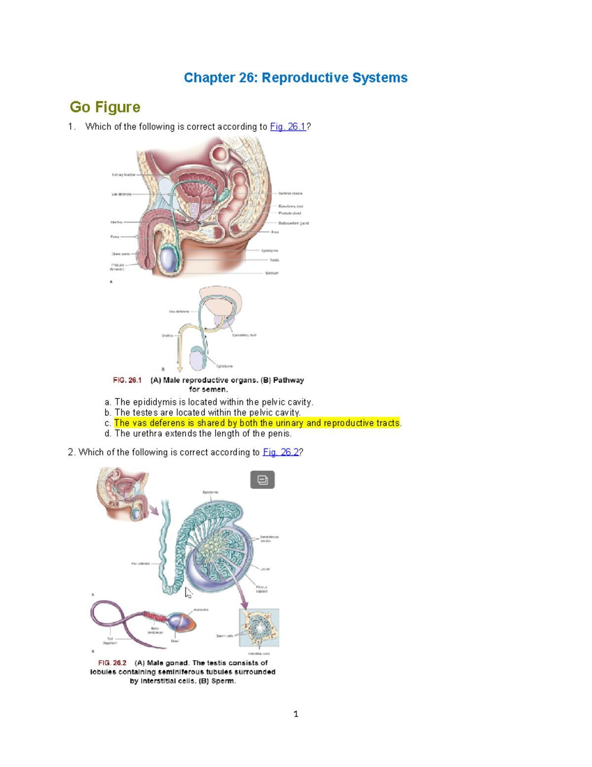 AHP106 Wk6 KCAssignment - Chapter 26: Reproductive Systems Go Figure ...