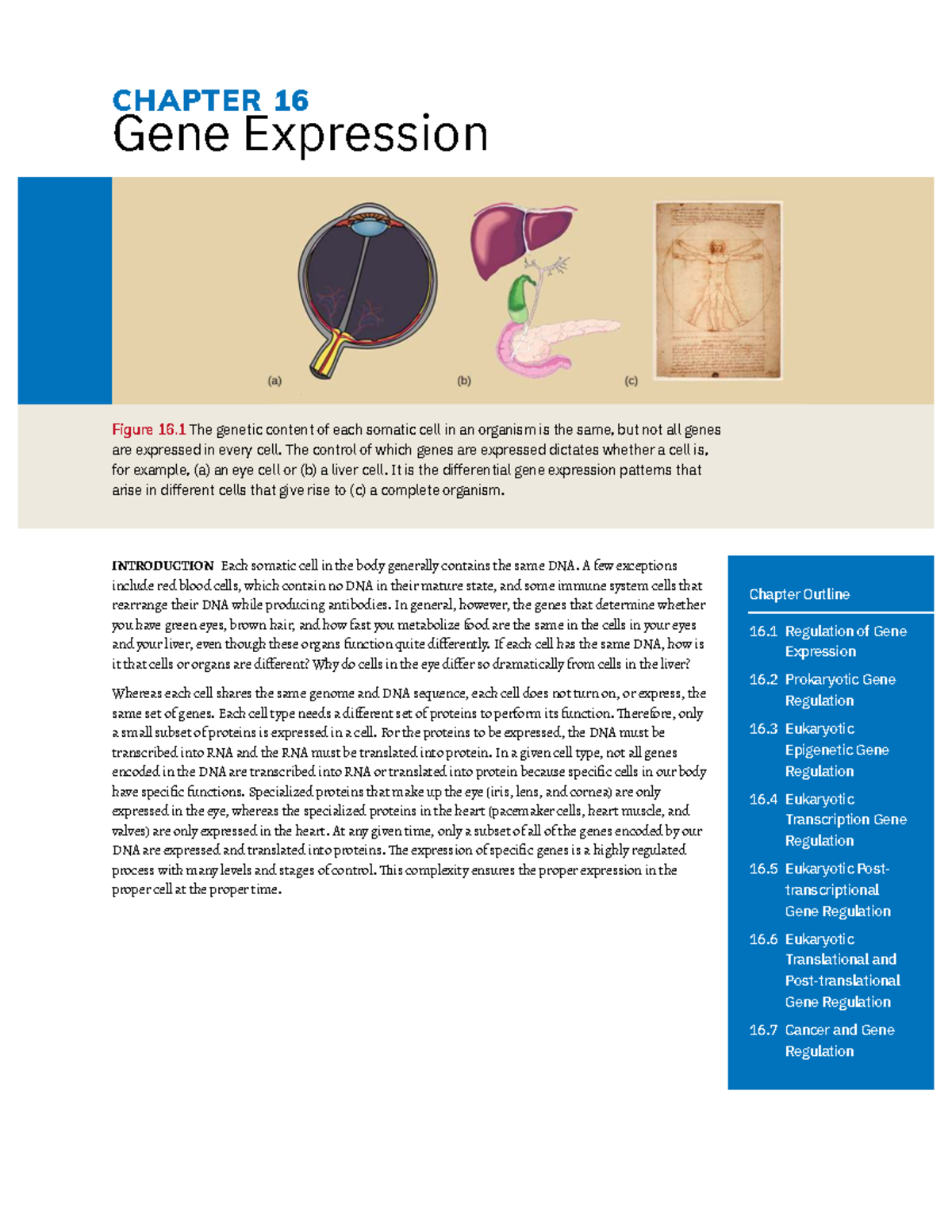 Cancer and Gene Regulation: Understanding Altered Gene Expression ...