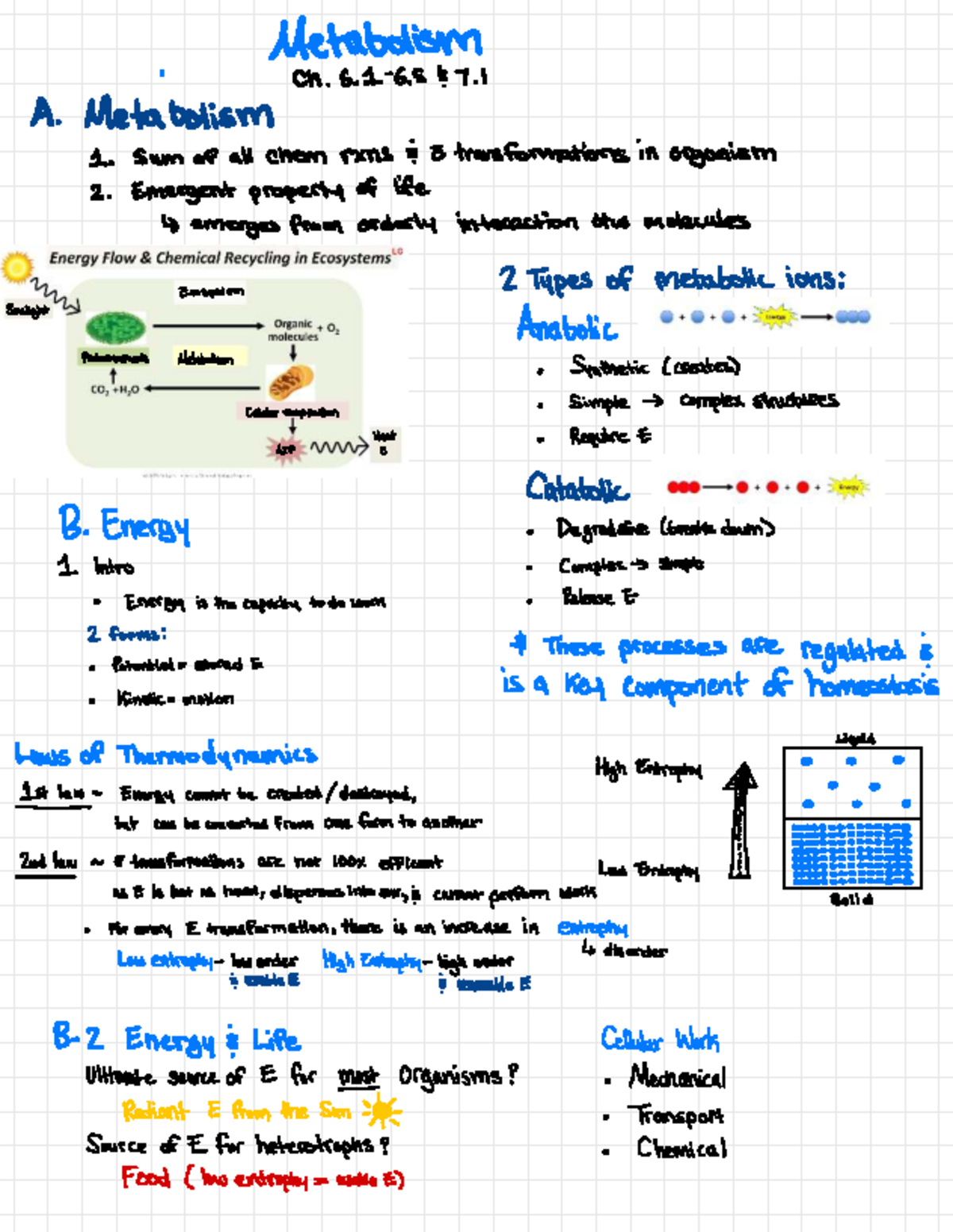 Metabolism - Ch . 6. 1 - 6. 5 5. 7. 1 A . Meta bolism Swrn of all chem ...
