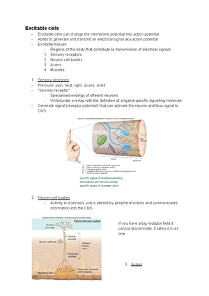 Physiology - notes for CAL practical - Slide In mucosa: large number of ...