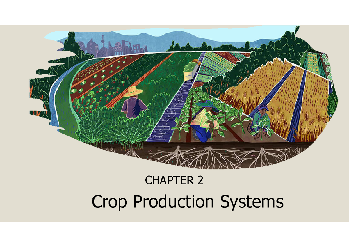 CROP2614 - Chapter 2: Crop Production Systems Overview - Studocu