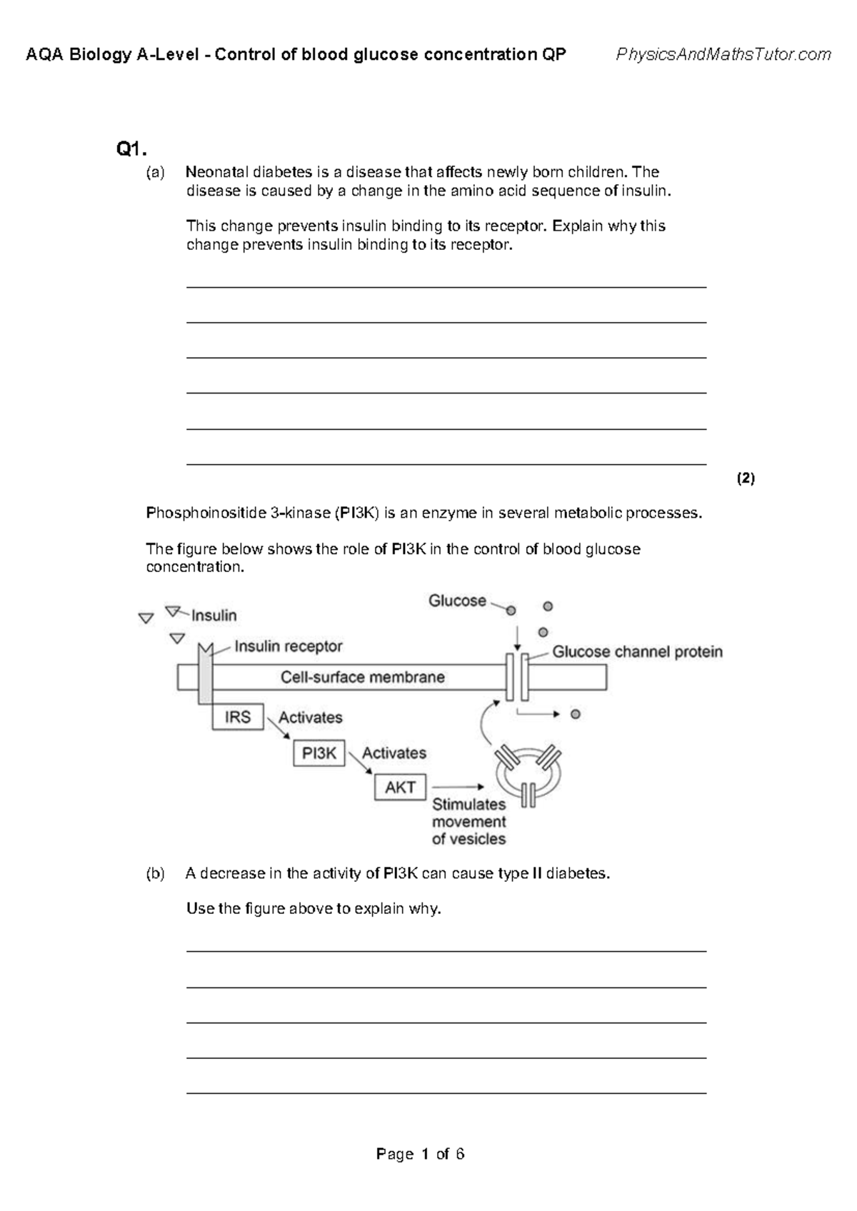 AQA Biology 6.4 Control of Blood Glucose Concentration QP Exam Notes ...