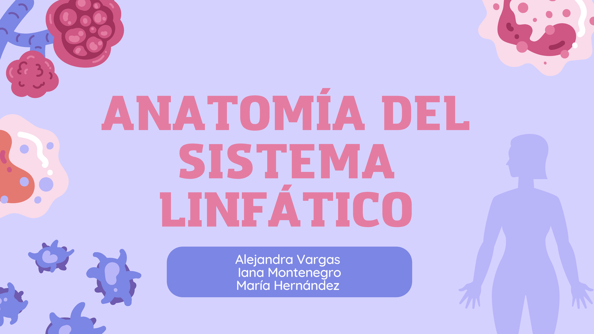 PPT: Anatomía del Sistema Linfático y Sus Estructuras Principales - Document Preview