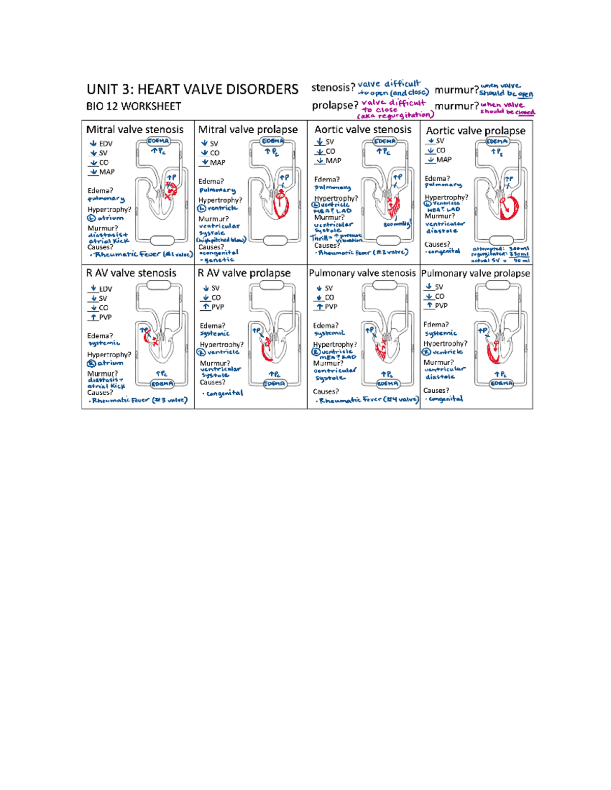 Patho Cardiac and Congenital Valve Disorders - stenosis? valve ...