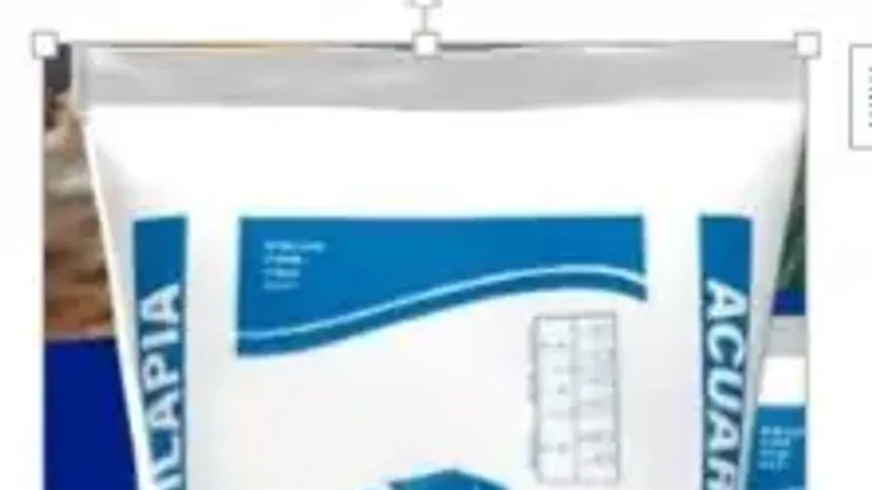 Plan de Negocios Procompite: Contenido y Estrategias (Formato N° 10) - Document Preview