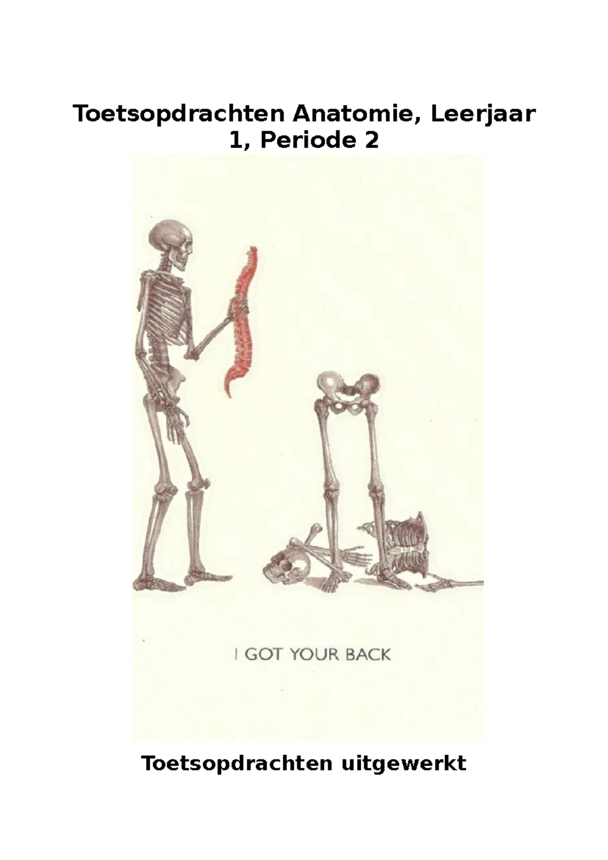 Periode 2 anatomie leerjaar 1 onderste extremiteit - Orange= Bot Rood ...