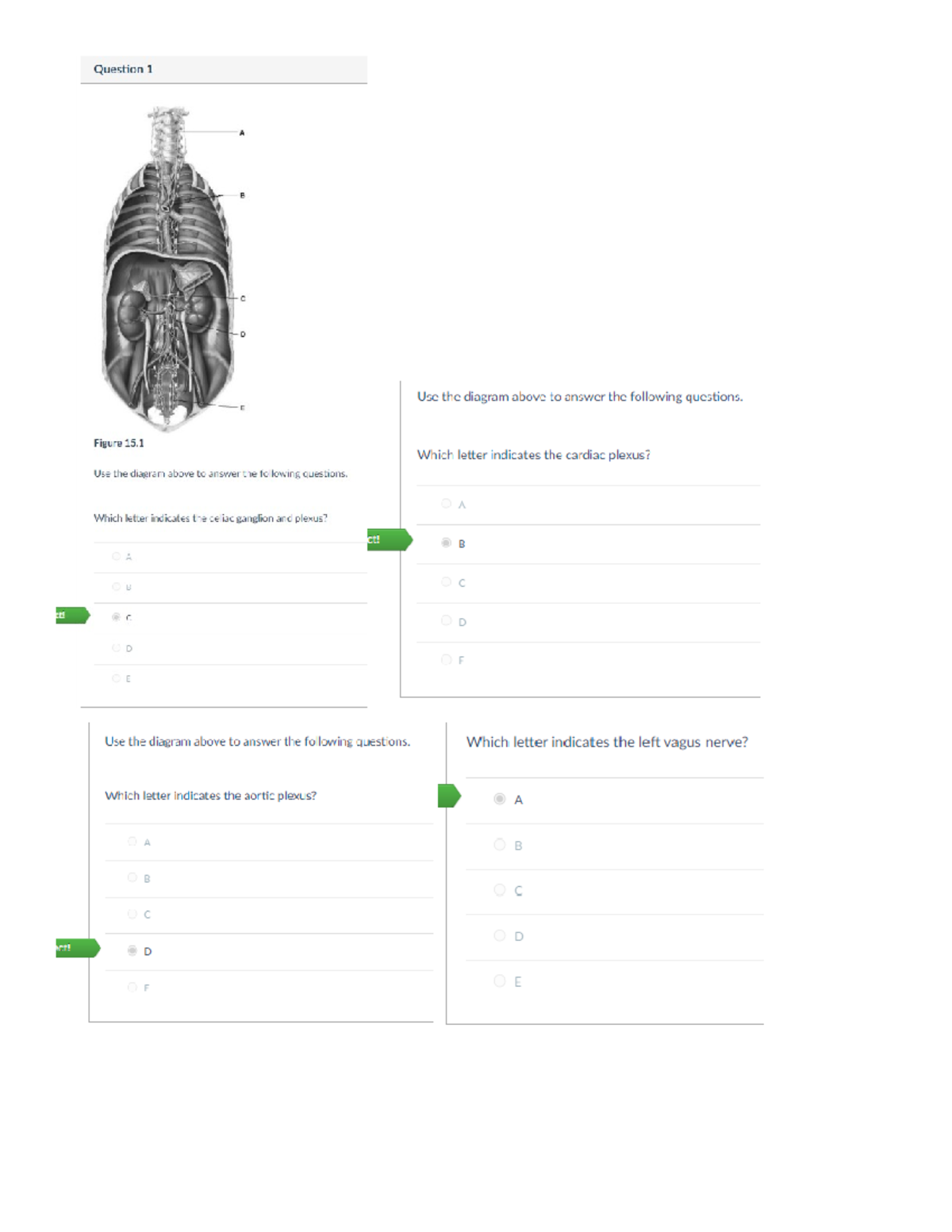 Anatomy Week 8 Activity Quiz - SCI 220 - Studocu