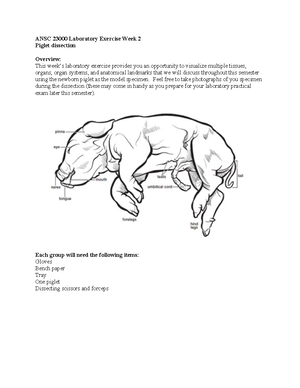 ANSC 23000 Lab Exercise: Integument & Nervous System Dissection - ANSC ...