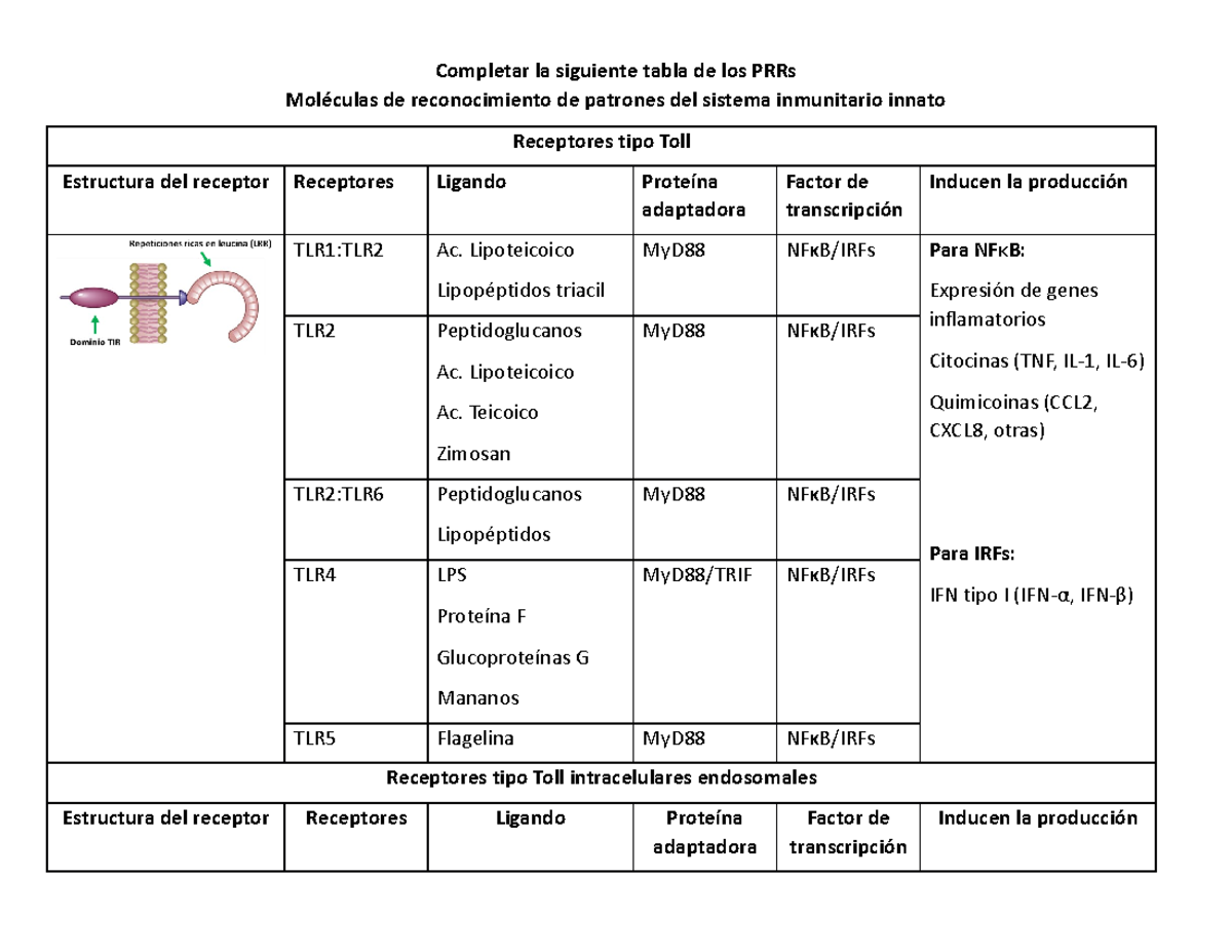 Moléculas de reconocimiento de patrones del sistema inmunitario innato ...