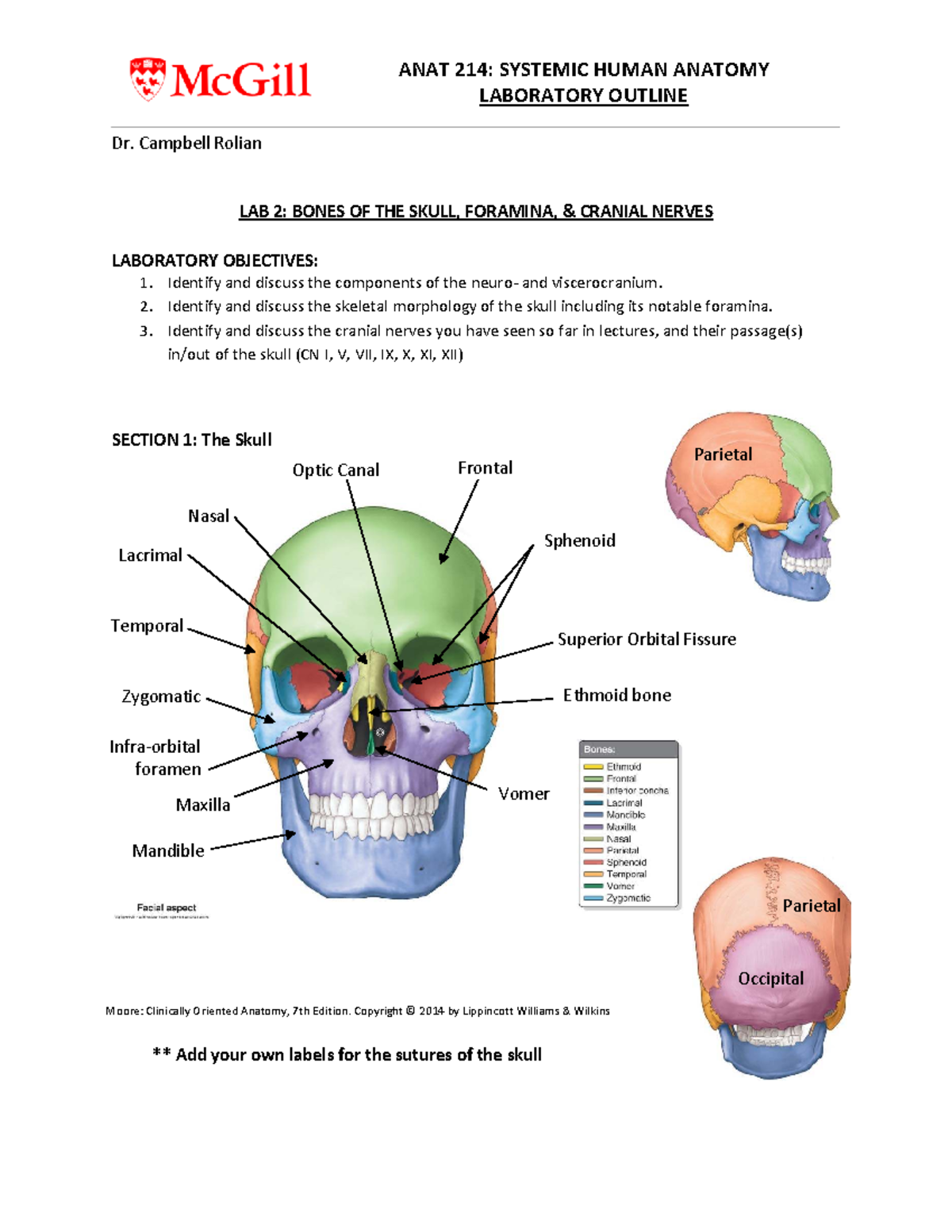 ANAT 214: Lab 2 - Skull Anatomy & Cranial Foramina Overview - Studocu