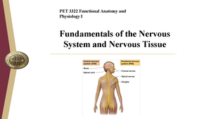 Comprehensive Overview of the Nervous System (Bio 101 Lecture Notes ...