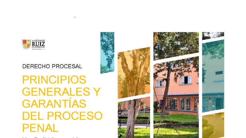 DERECHO PROCESAL: Principios y Garantías del Proceso Penal - Tema 01 ...