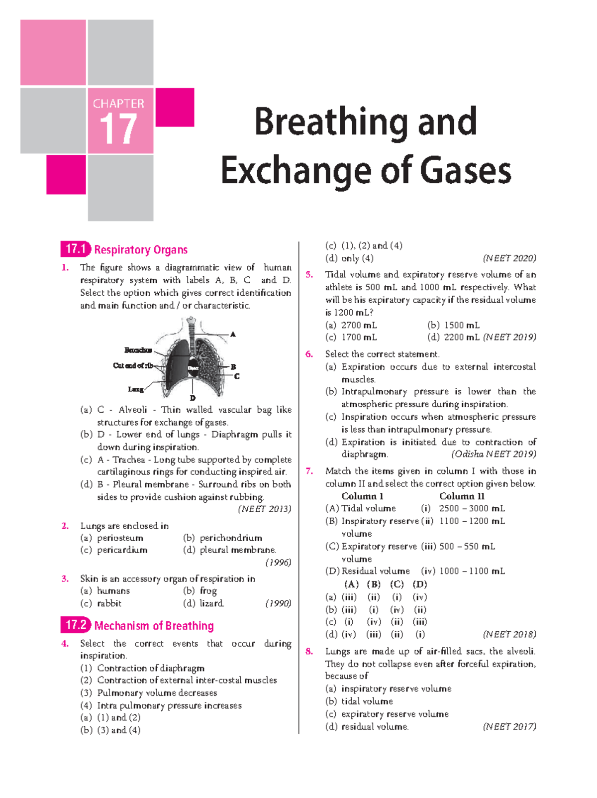 NEET 2013-2020 Respiratory System Study Guide and Answer Key - Studocu