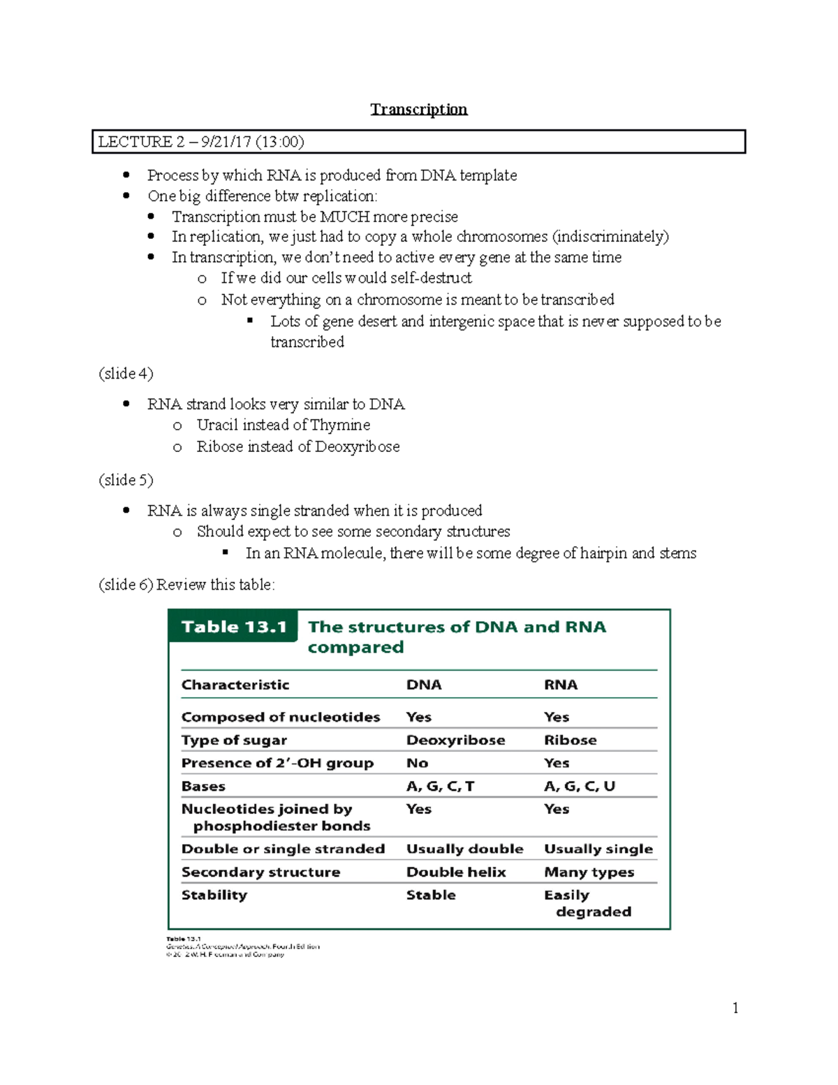 Biology 101 - Lecture Notes on Transcription for Exam 2 - Studocu
