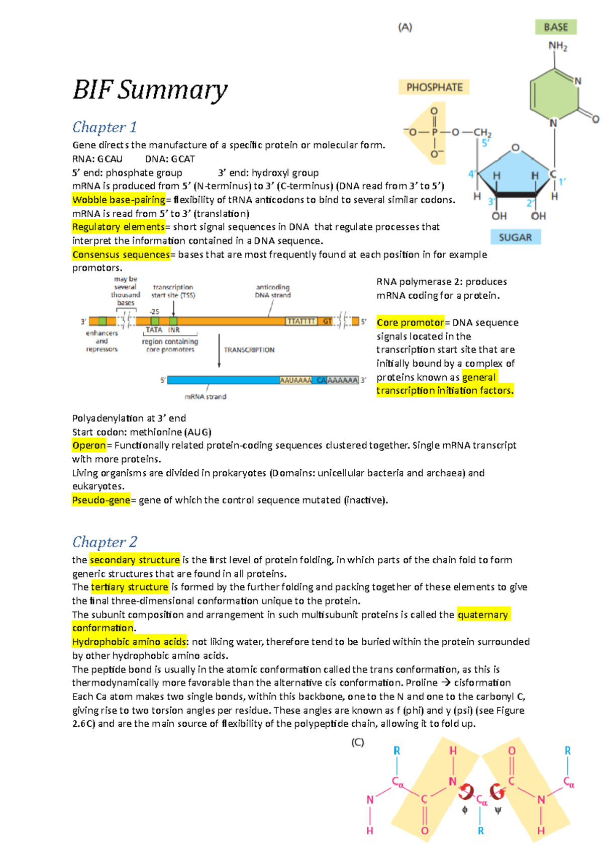 BIF Summary: Hoofdstukken 1-4 en Genetische Analyse Overzicht - Studeersnel