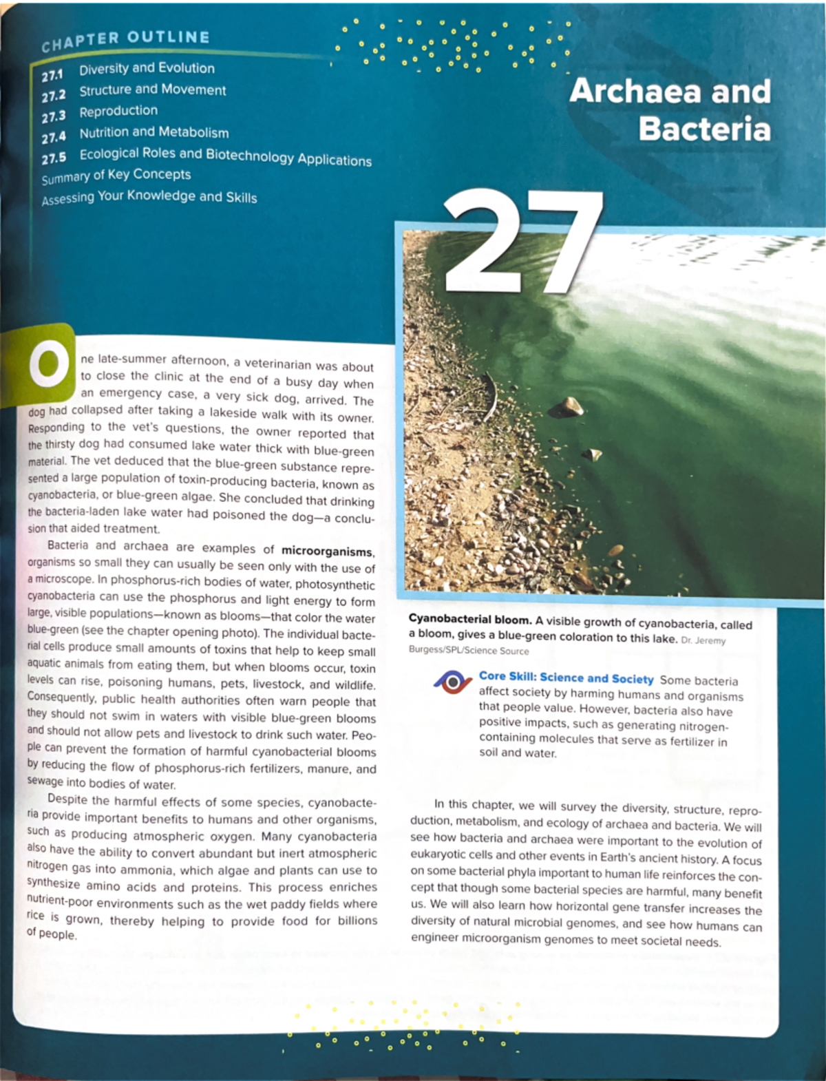 Chapter 27: Diversity and Evolution of Archaea & Bacteria (Final Exam ...