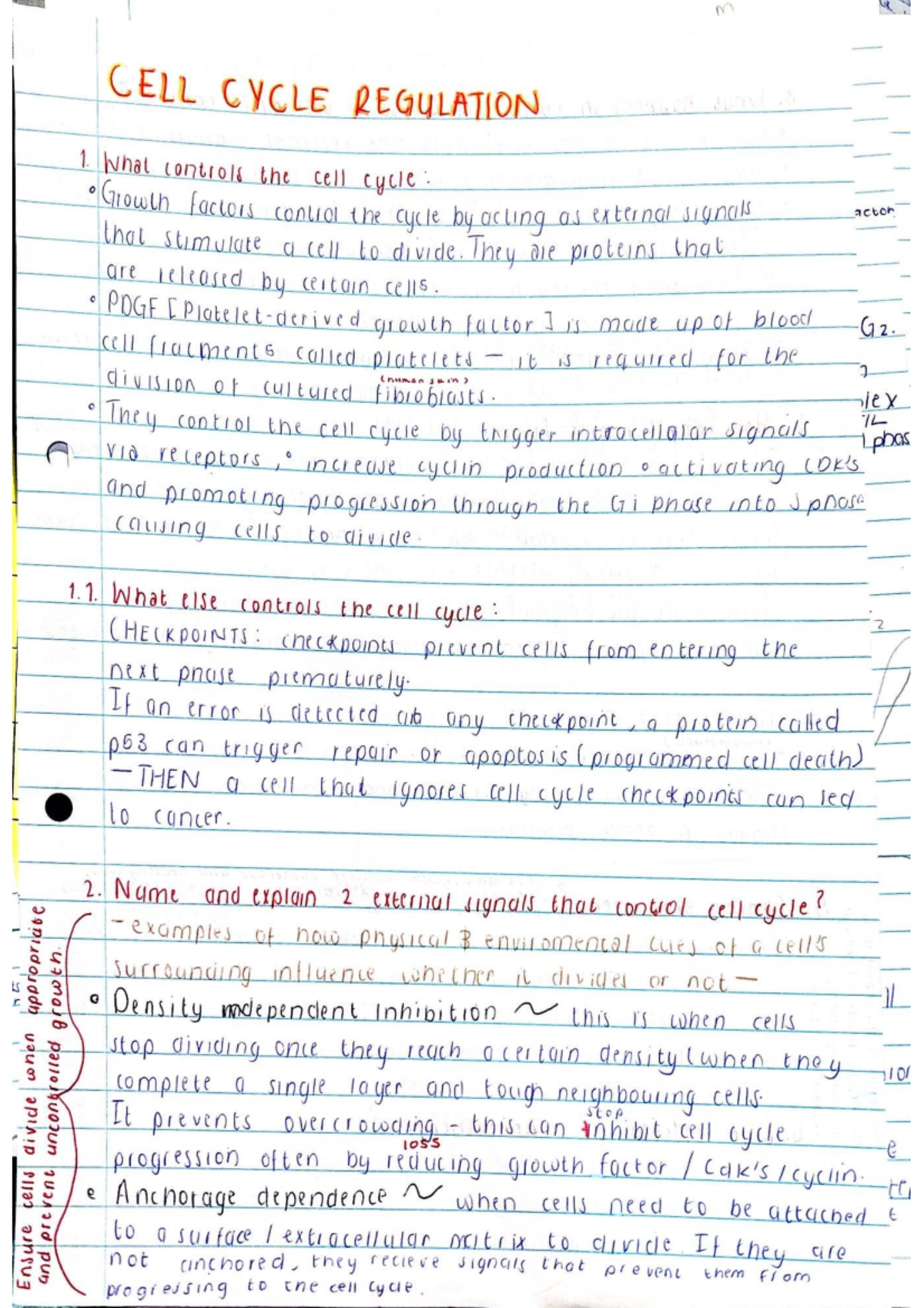 CELL CYCLE REGULATION: Summary on Growth Factors & Checkpoints ...