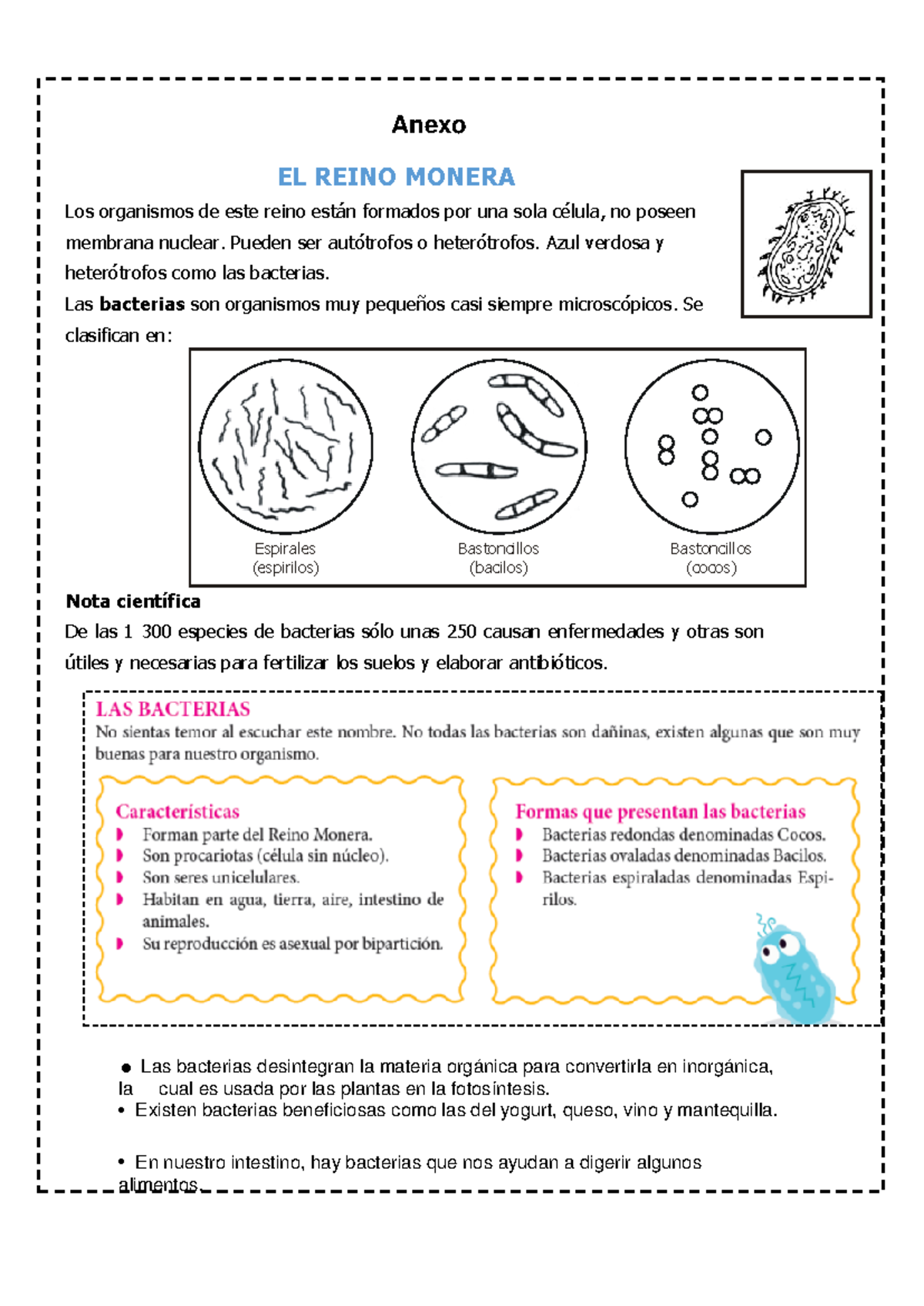 Cienciaaa - Reino Monera: Características y Clasificación de Bacterias -  Studocu