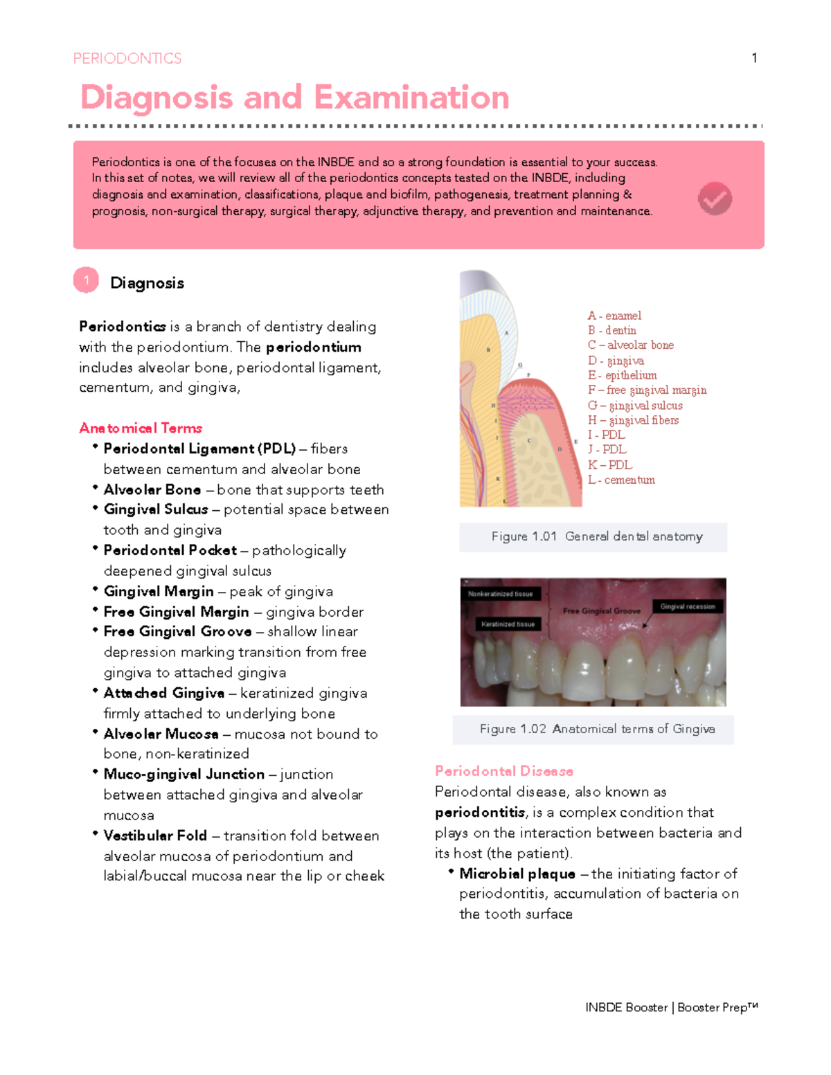 INBDE Periodontics Study Notes: Key Concepts & Classifications - Studocu