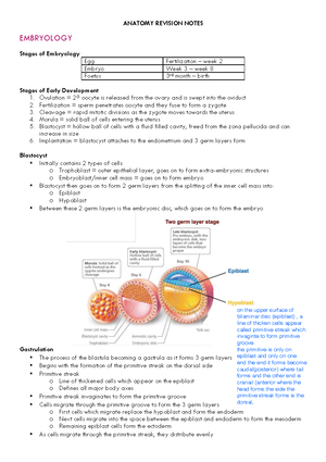 MUSI2015 Lecture Notes: Resource-Oriented Music Therapy for