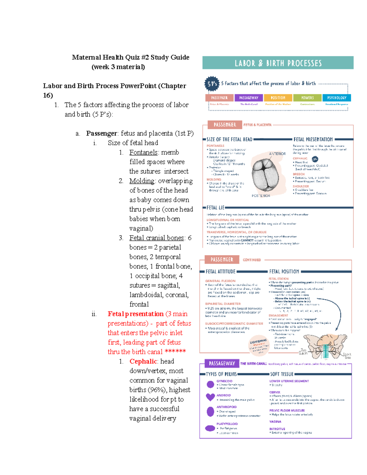 OB 2nd Quiz Study Guide: Labor and Birth Process Overview - Studocu