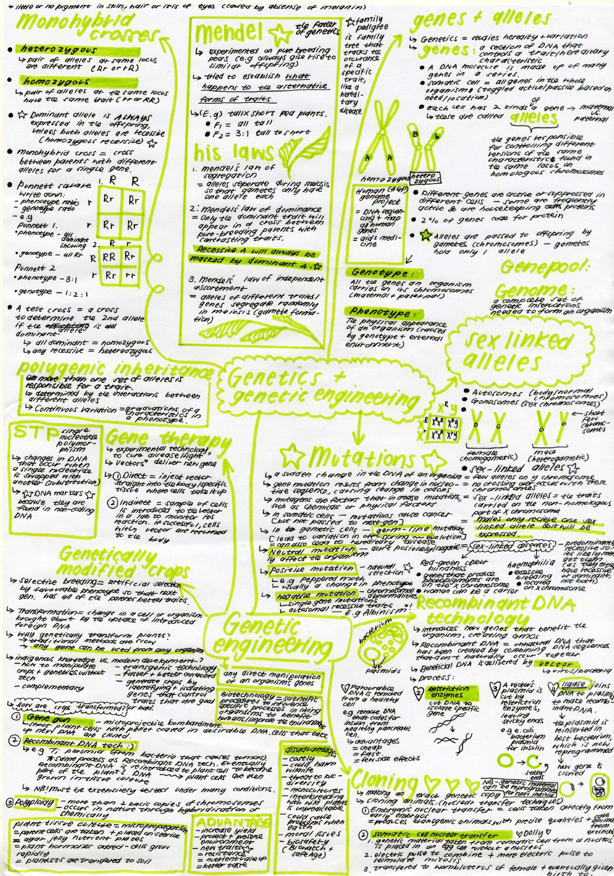 A3 Biology 7 - Genetics and Recombinant DNA Summary Notes - Studocu