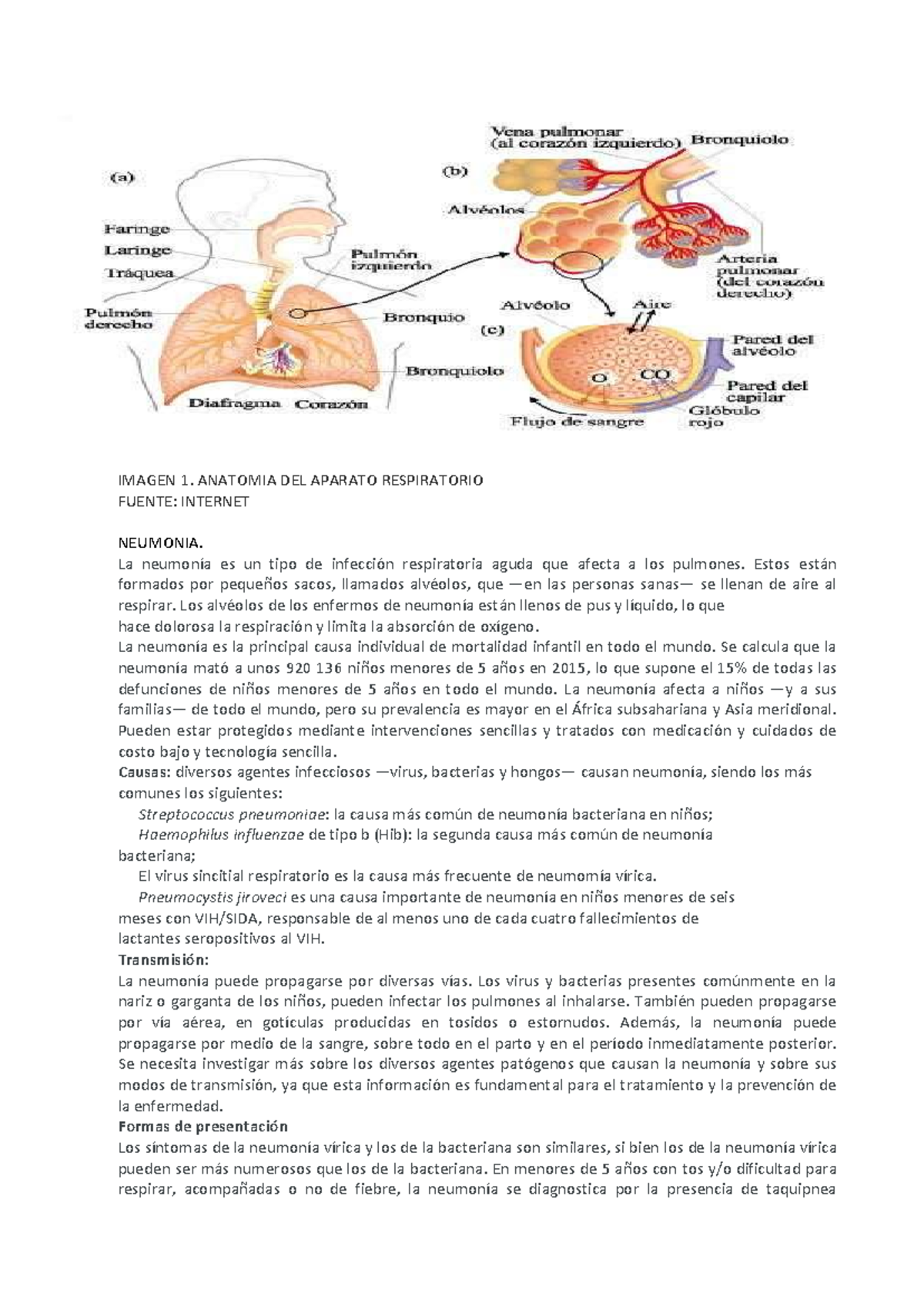 ACT 3 IRAS - Neumonía y Enfermedades Pulmonares en Niños - Studocu