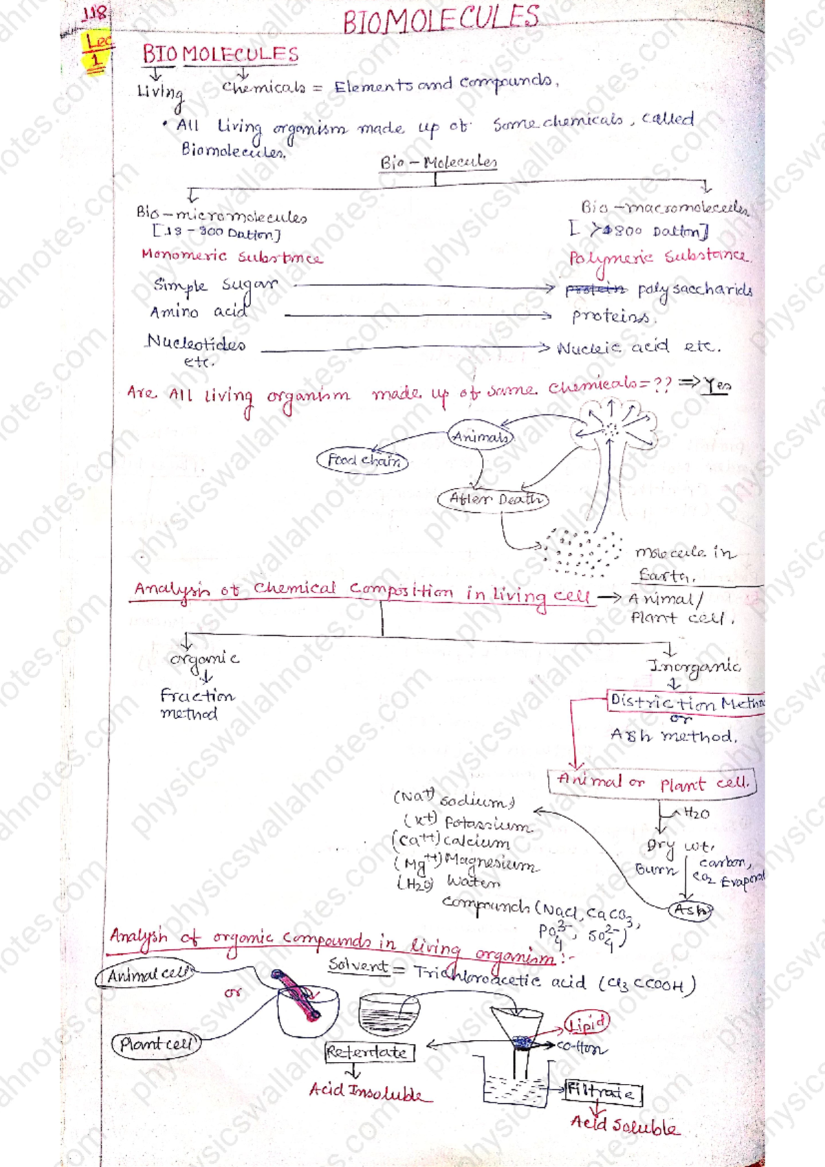 Biomolecules Overview and Key Concepts - Ann 118 Lecture Notes - Studocu