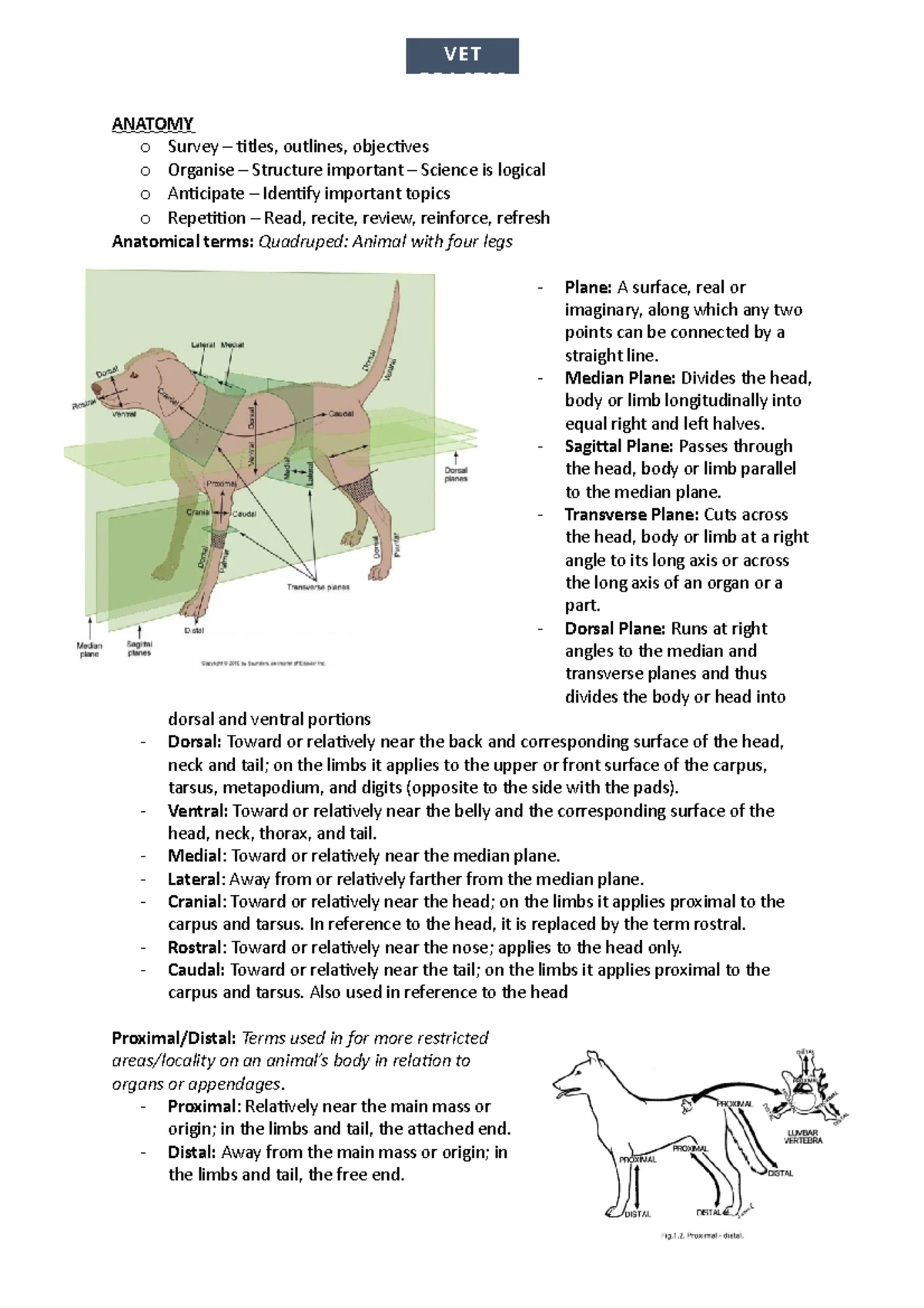 VSC122 - Veterinary Practice 1: Comprehensive Notes (2024) - Studocu