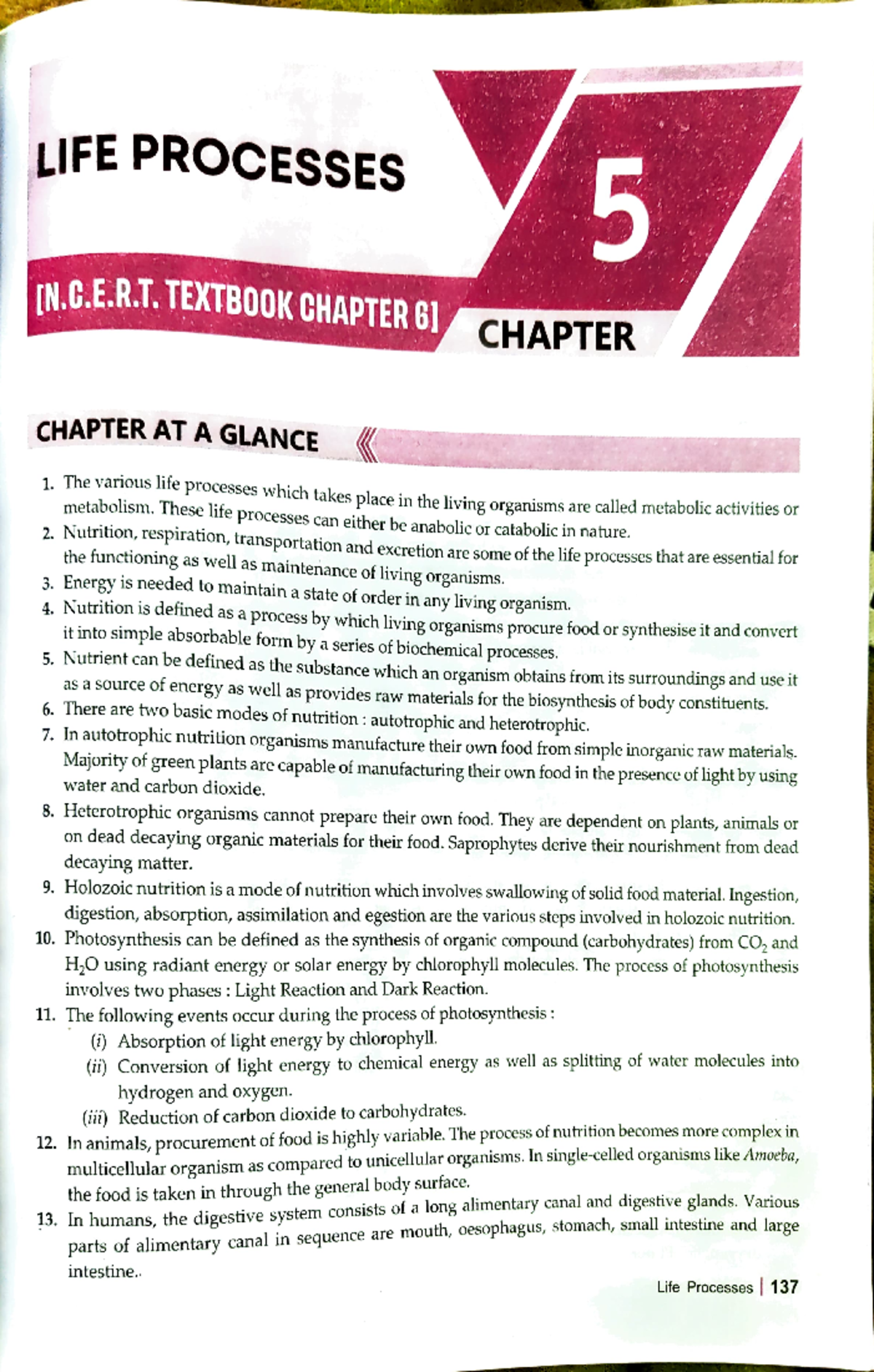 Key points LIFE Processes - LIFE PROCESSES TEXTBOOK CHAPTER CHAPTER ...