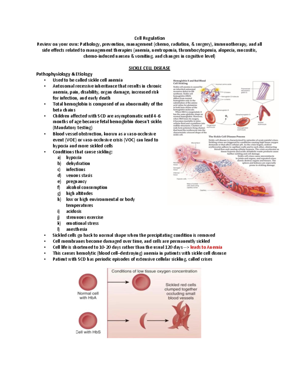 Cell Regulation & Sickle Cell Disease Review: Patho, Management ...