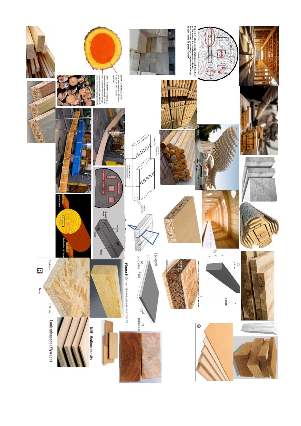 Shrinkage and Distortion of Wood Pieces: Growth Ring Effects (3.00m ...