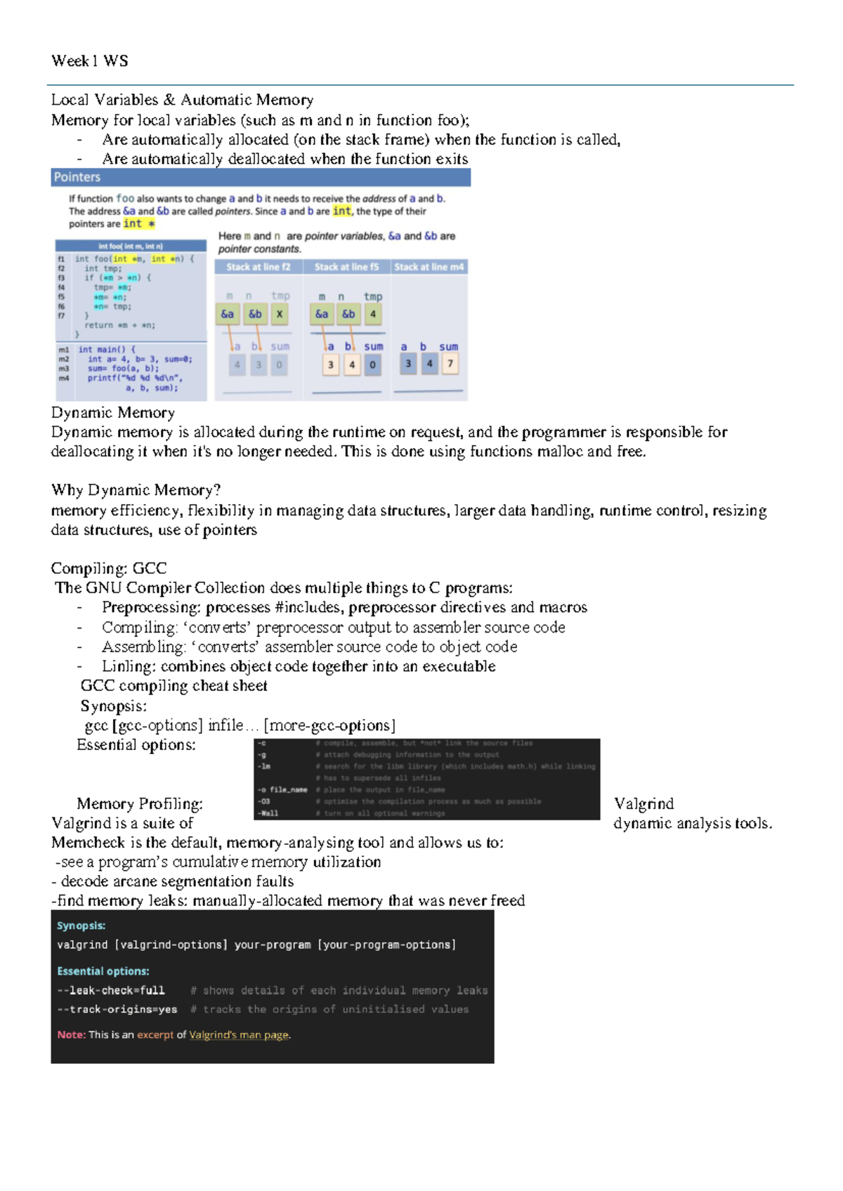 Week1 WS summary - Week1 WS Local Variables & Automatic Memory Memory ...