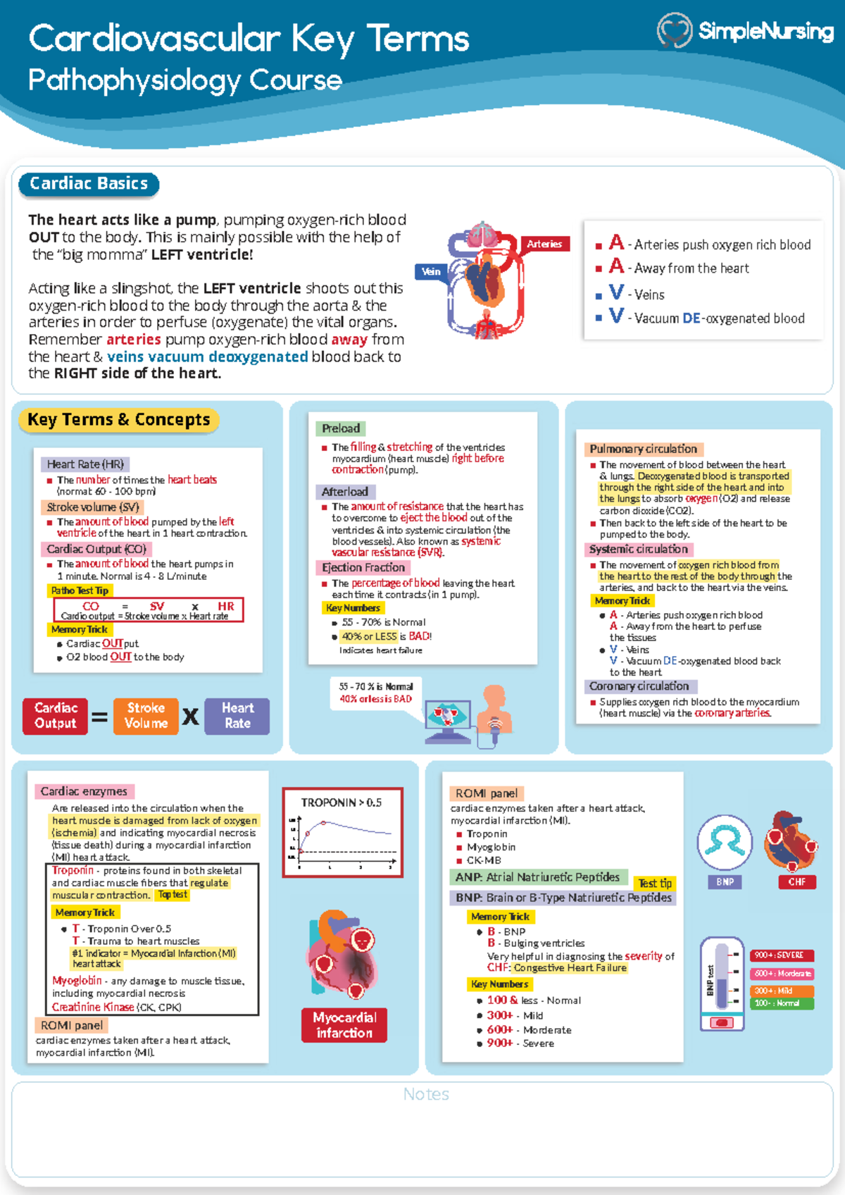 Cardiovascular Key Terms: Pathophysiology Course Overview - Studocu