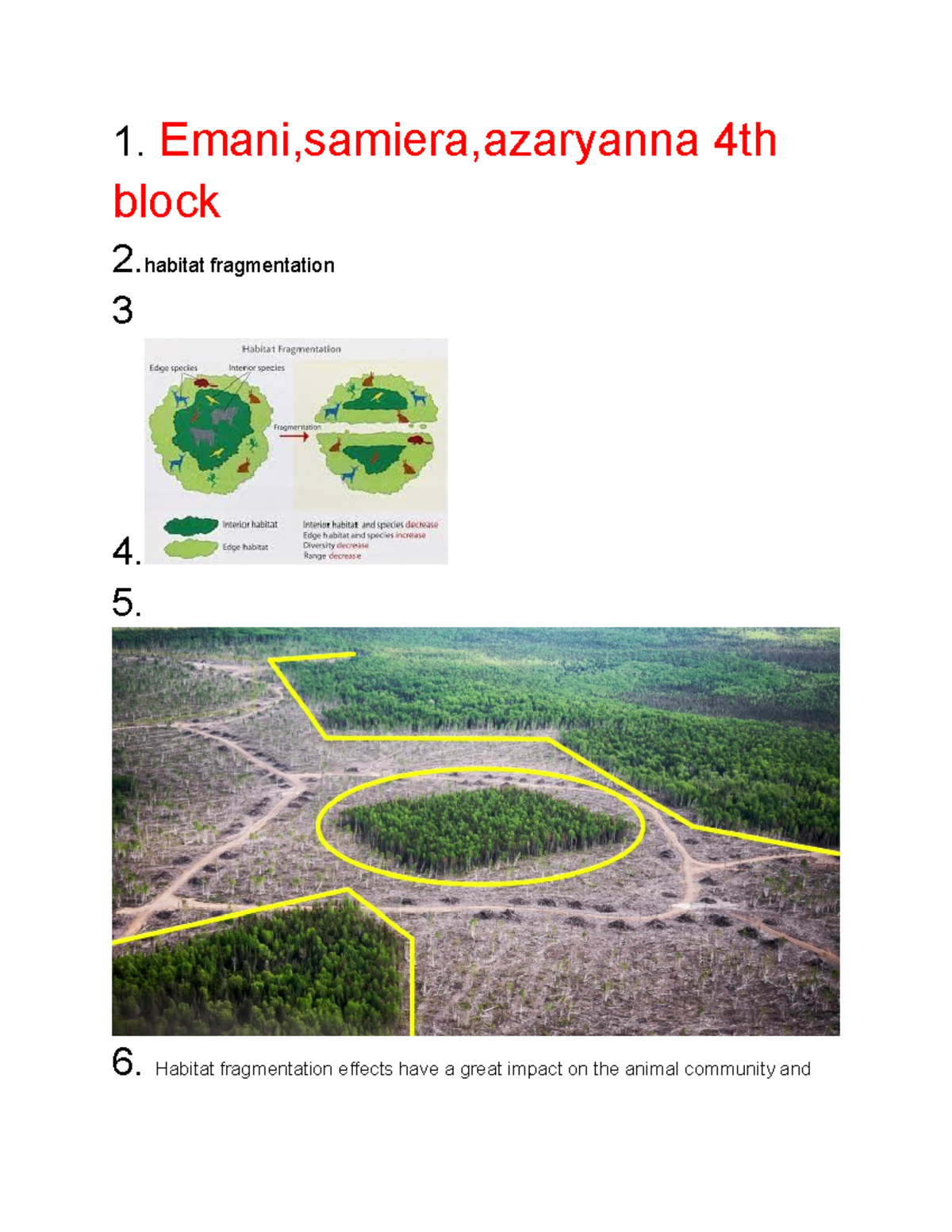 Human Impact on Ecosystems: Habitat Fragmentation Effects - Studocu