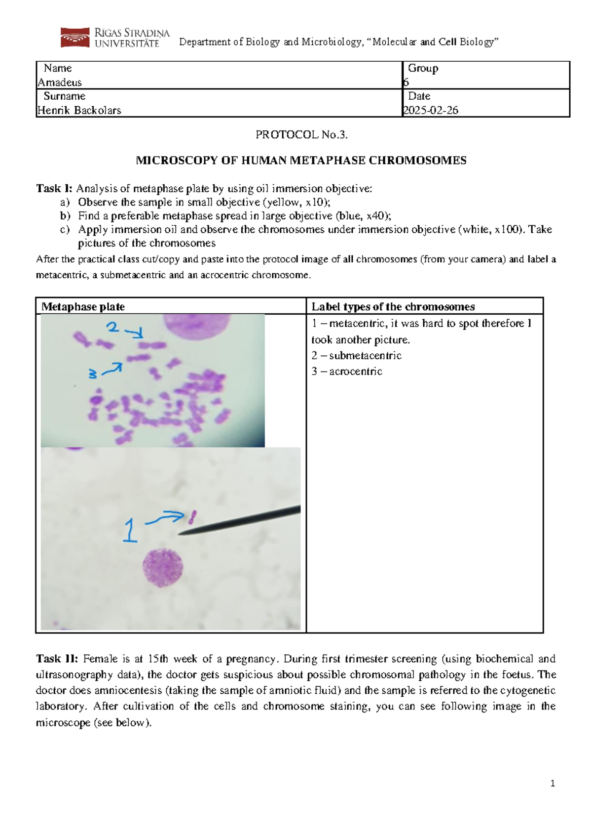 Protocol No. 3 2024 autumn - Department of Biology and Microbiology ...