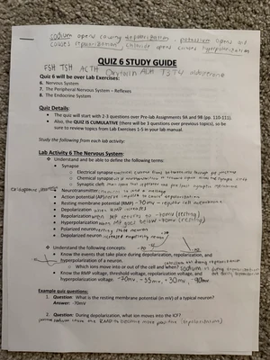 Comprehensive Study Notes for Course XYZ: Essential Concepts and ...