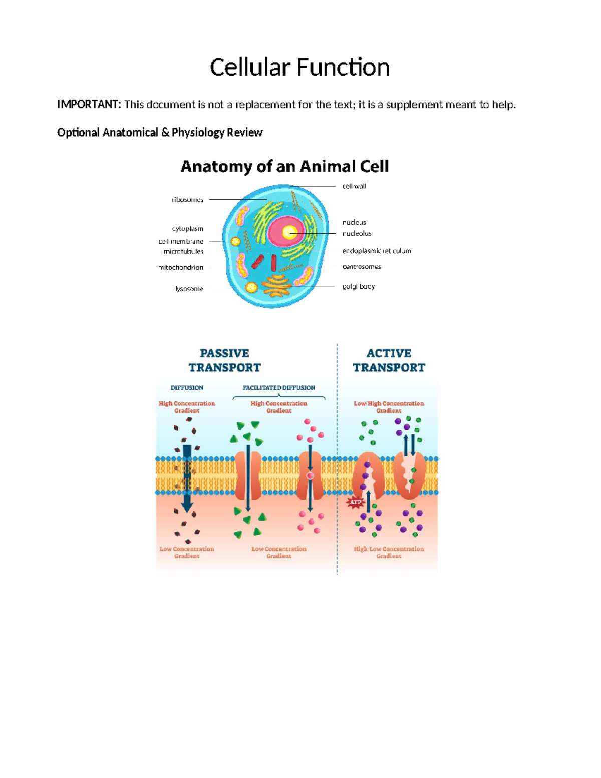 Epigenetics and Disease: Insights into Genetic Regulation and Impact ...