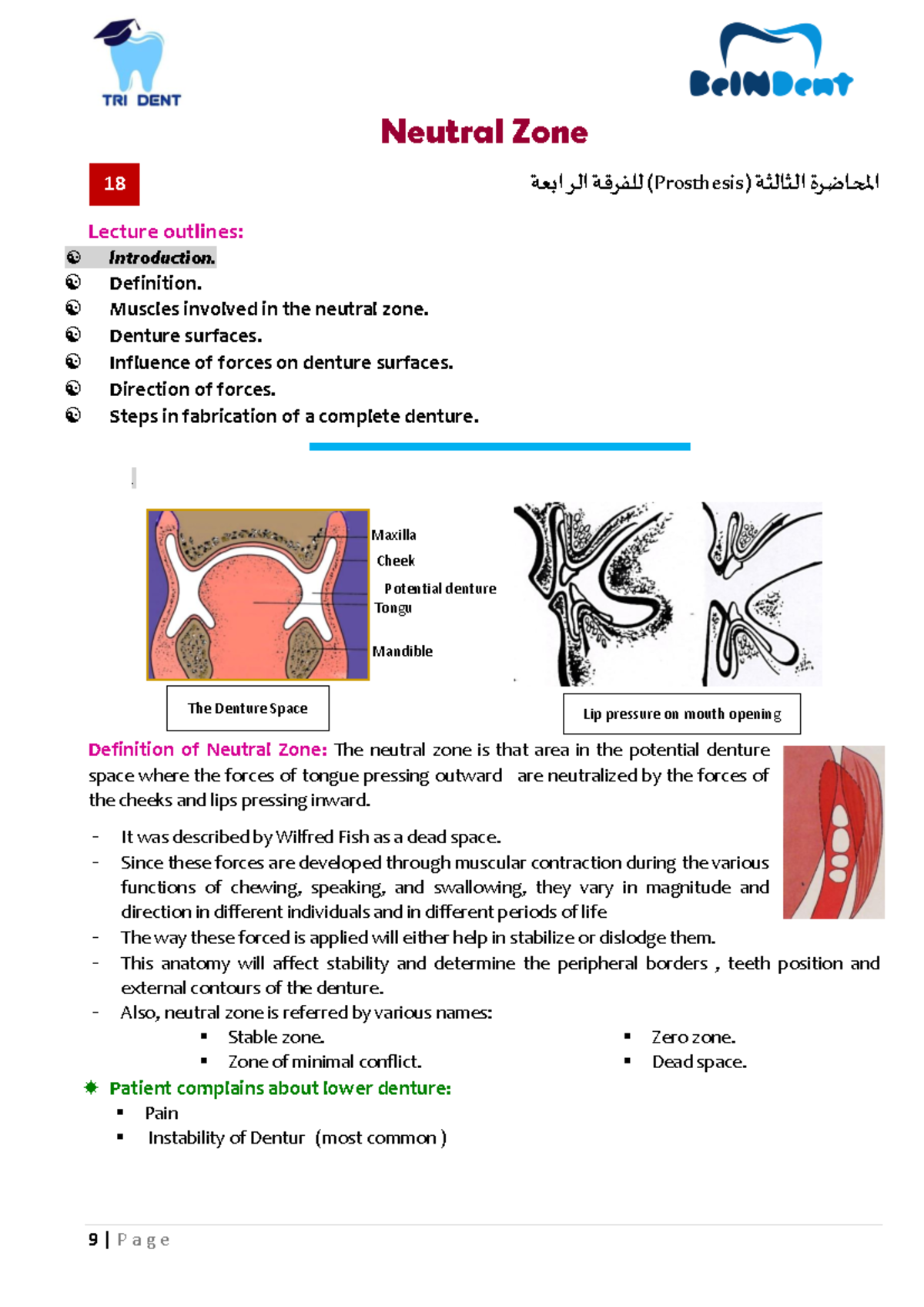 03 - Neutral Zone in Removable Partial Denture (RPD) Lecture Notes ...