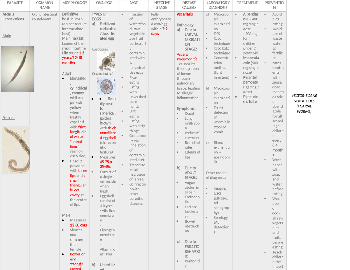 PARASITE MORPHOLOGY: Ascaris lumbricoides Overview for Prelim Review ...