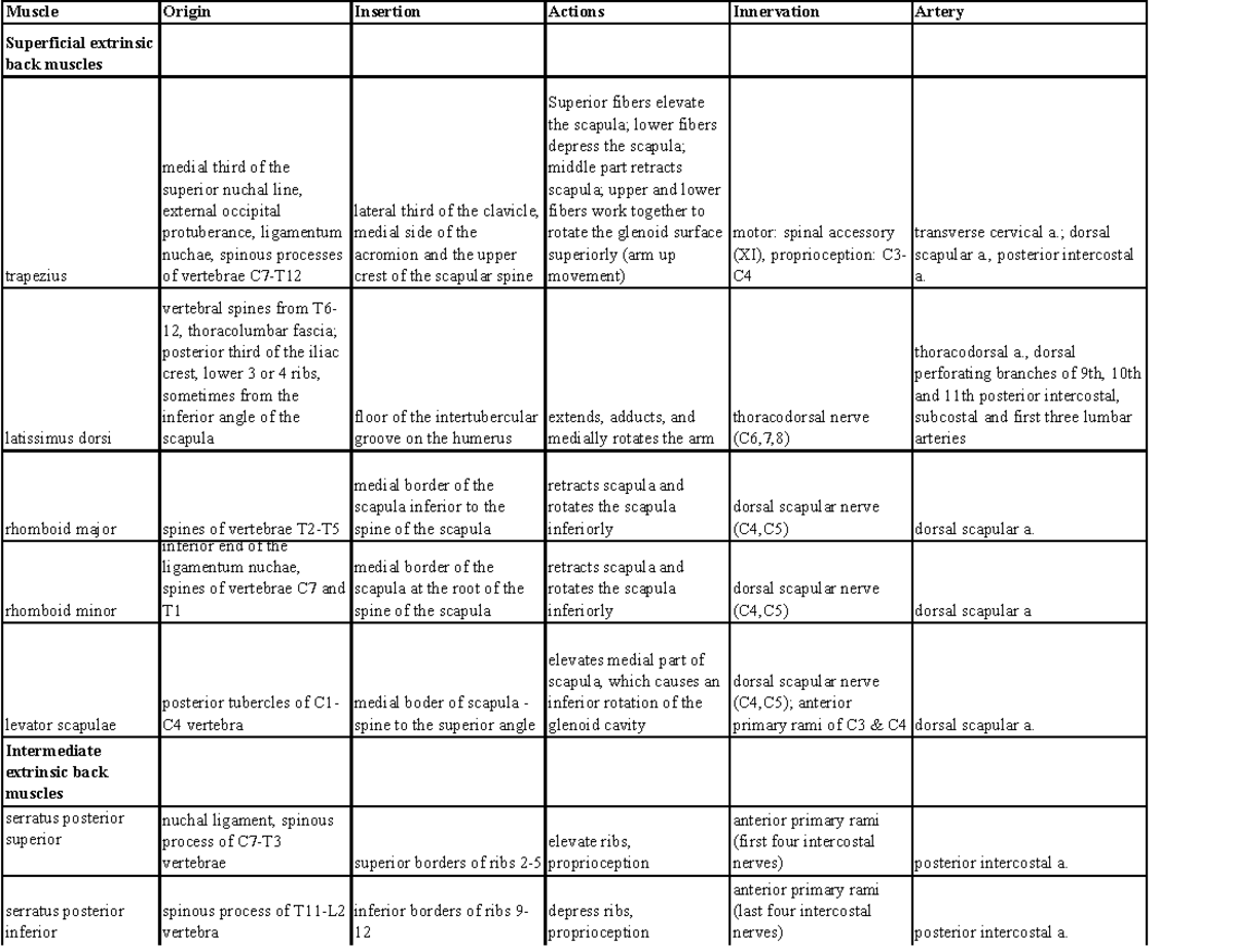 Muscle Table: Origin, Insertion, Actions, Innervation & Arteries (FIT ...