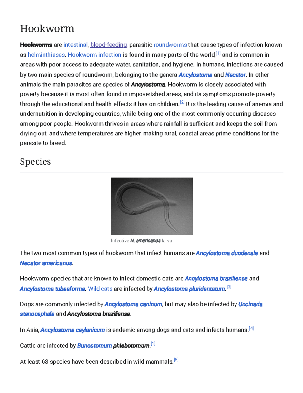 Parasitic Hookworm Ancylosoma Stock Illustration - Illustration of  medicine, infection: 89599170, image size:1200x1553
