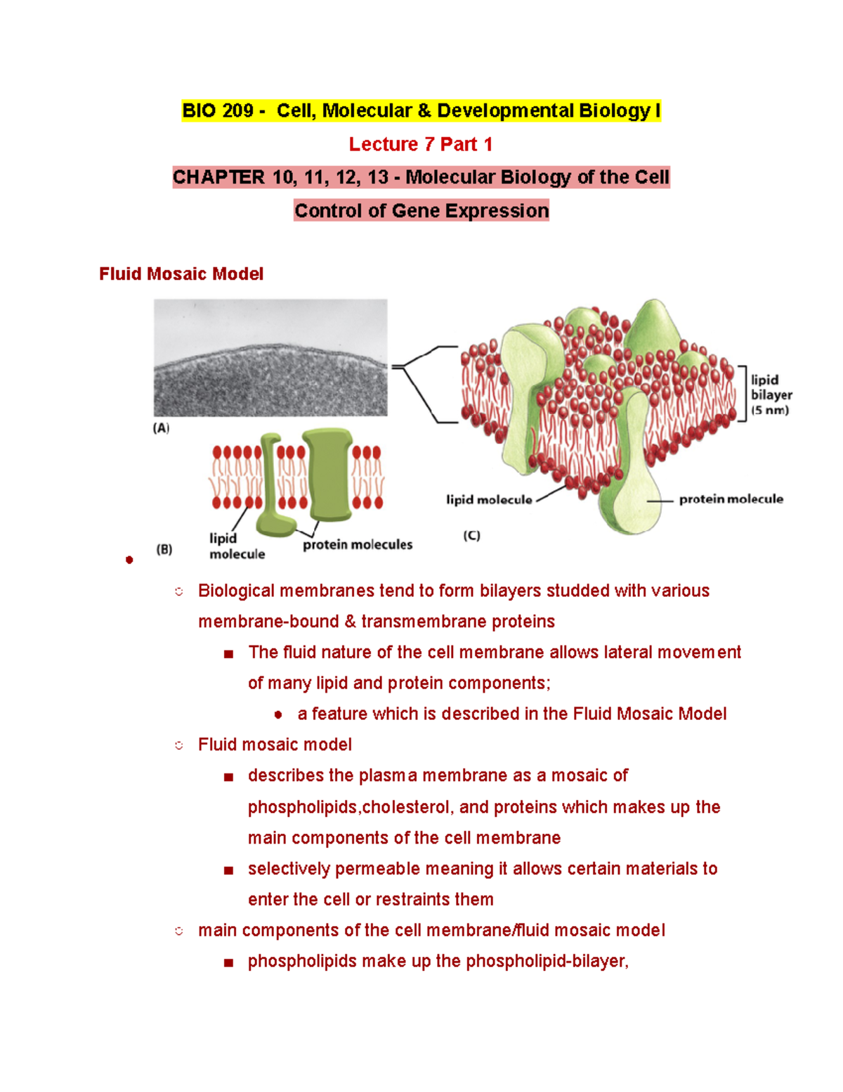 BIO 209 Lecture 7 Part 1 - Fall 2019 - BIO 209 - Cell, Molecular ...