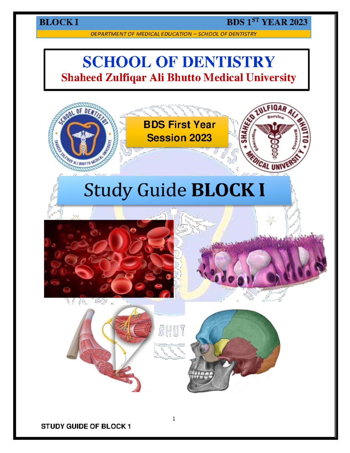 BDS 1st Year Study Guide - Block I (2023) - Studocu