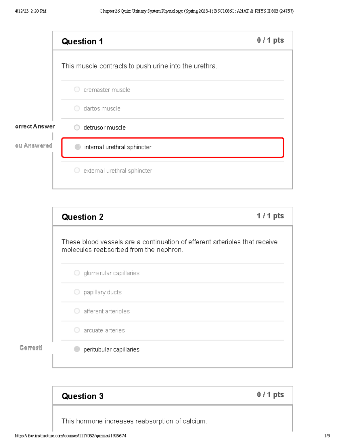 Chapter 26 Quiz: Urinary System Physiology Insights - Studocu