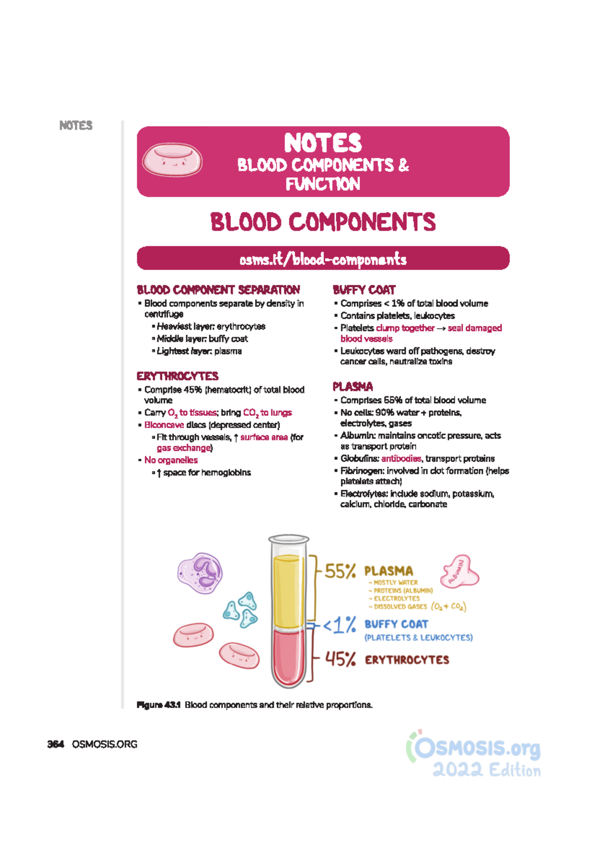 Haematology - practice - NOTES NOTES BLOOD COMPONENTS FUNCTION BLOOD ...