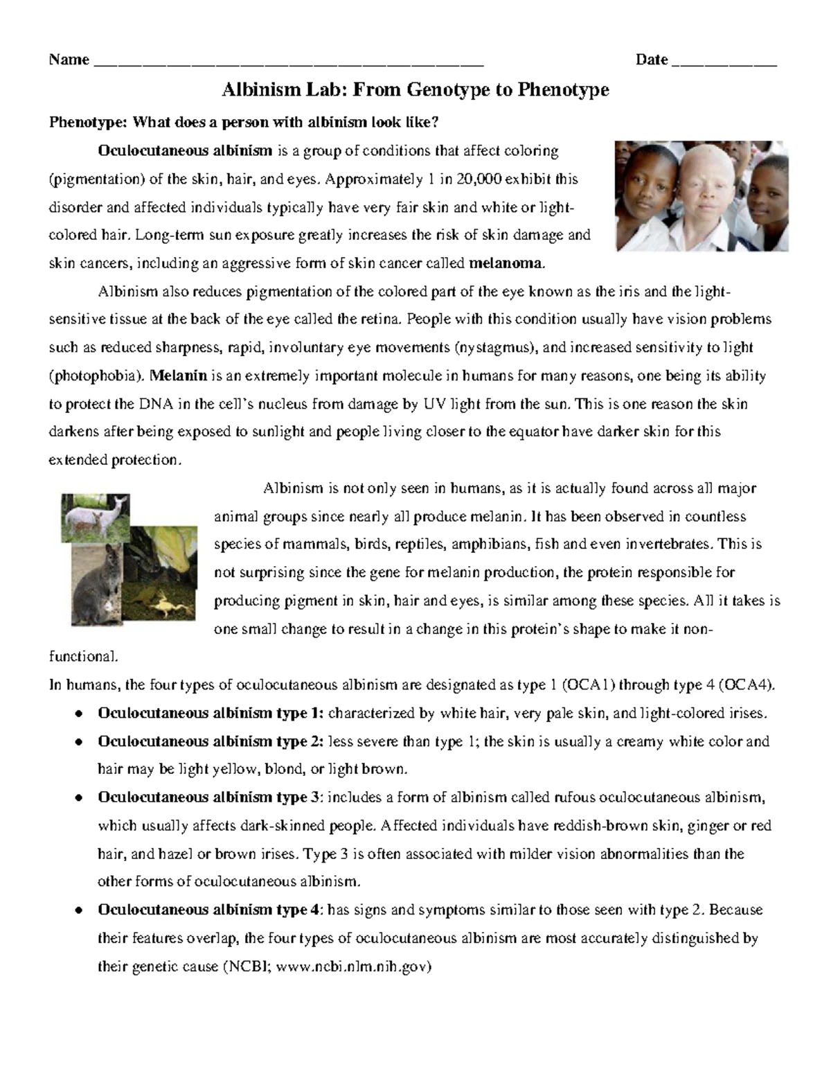 8 BIO Final Exam: Human Skin Color Selection Evidence Analysis - Studocu