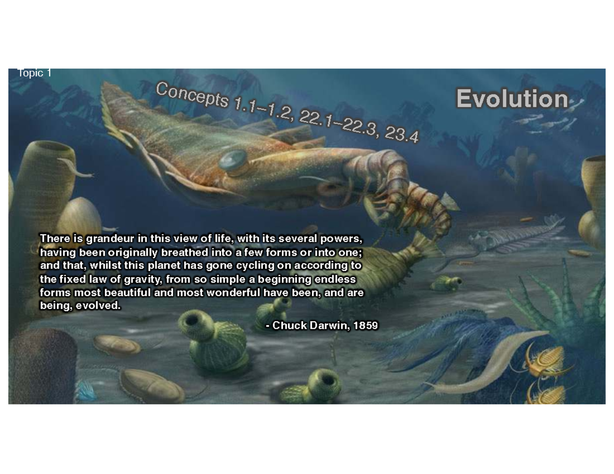 BIOL 1020 - Evolution Handout: Key Concepts and Natural Selection - Studocu