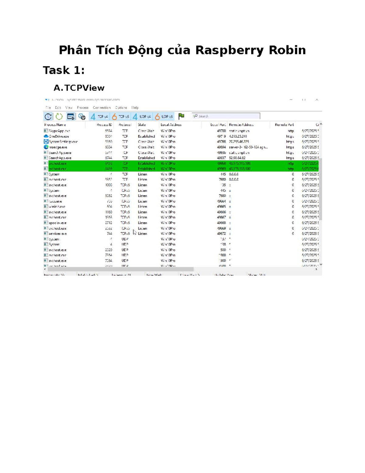 Phân Tích Động Raspberry Robin: Sử Dụng TCPView và CurrPorts - Studocu