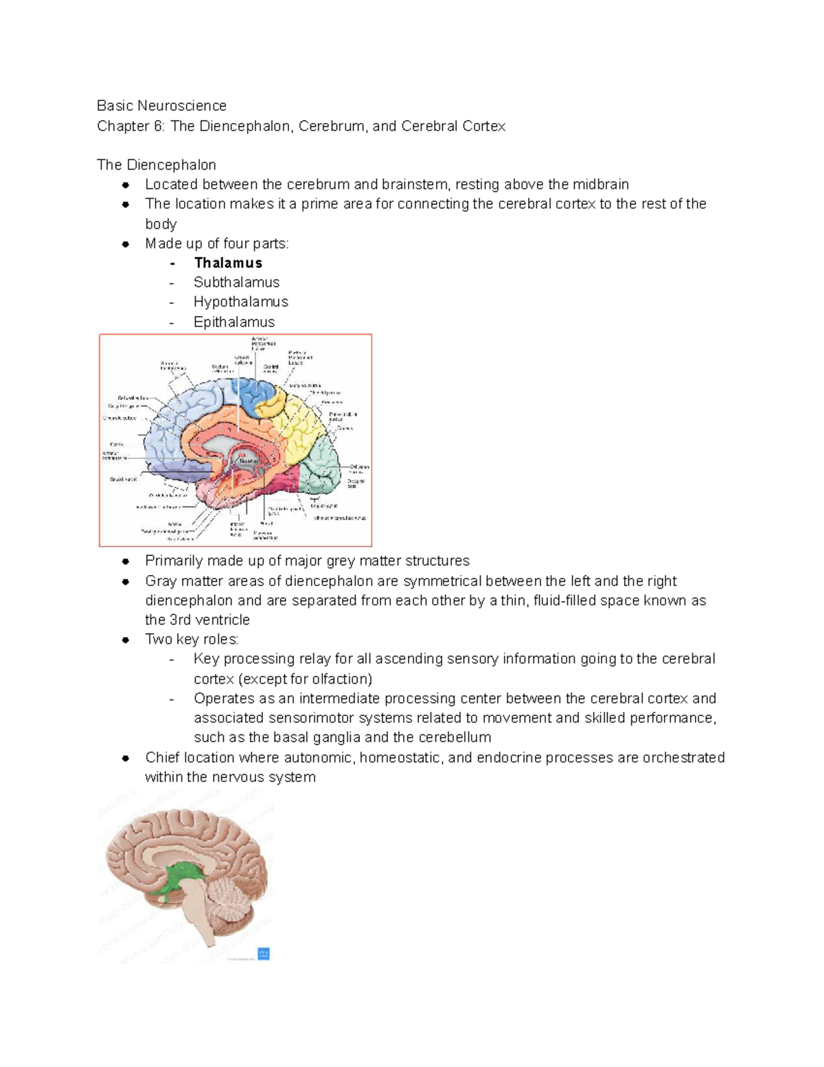 Basic Neuroscience: Chapter 6 - Diencephalon & Cerebrum Overview - Studocu